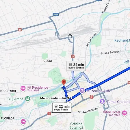 Family House With 3 Separate Bedrooms * קלוז'-נאפוקה