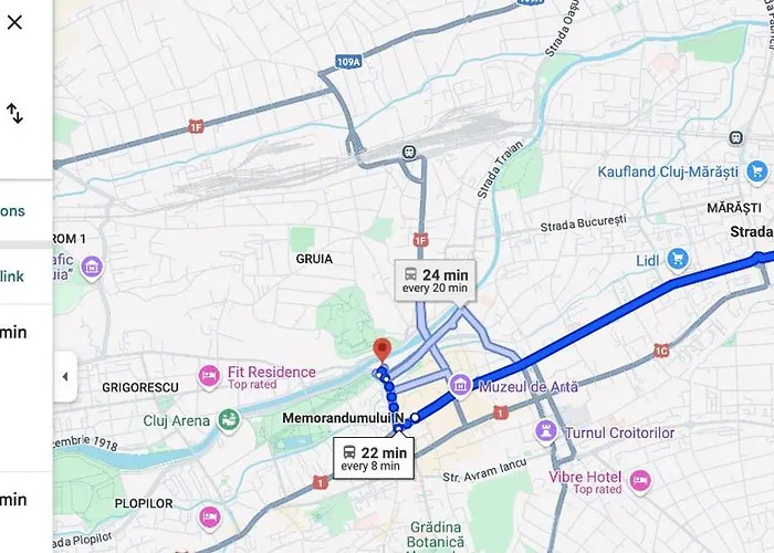 Family House With 3 Separate Bedrooms * Cluj-Napoca